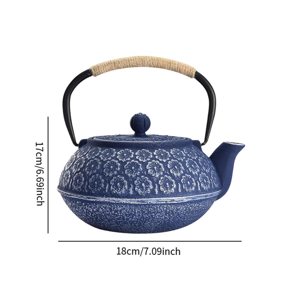 Japanese Cast Iron Teapot Internal Enamel for Loose Leaf Tea Bags Indoor