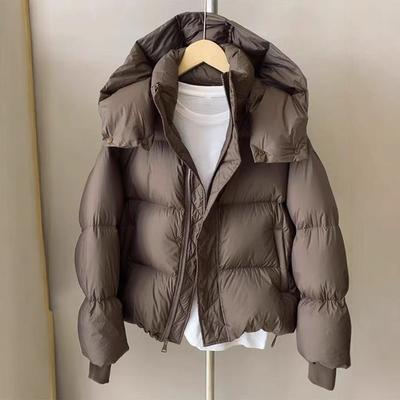 Annual Down Cotton-padded Clothes Women's Short Fashion Cotton-padded Clothes Loose Design Jacket