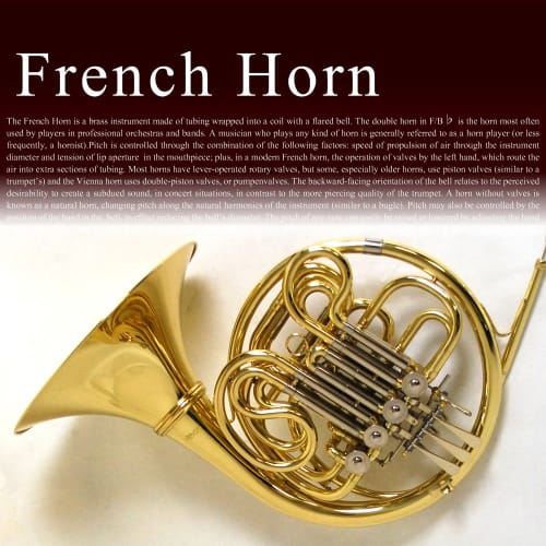 Soleil French Horn for Beginners