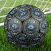 Marine Life Glass Round Football Size 5 Adult Ball Suitable for Training Matches and Outdoor Team.