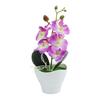 Fake Bonsai Orchid Flowers Artificial Flower Decor 27cm Height Artificial Phalaenopsis Colorful Creative Gifts