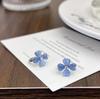 Blue Cat's Eye Flower Earrings for Women - Simple, Small, Versatile Studs