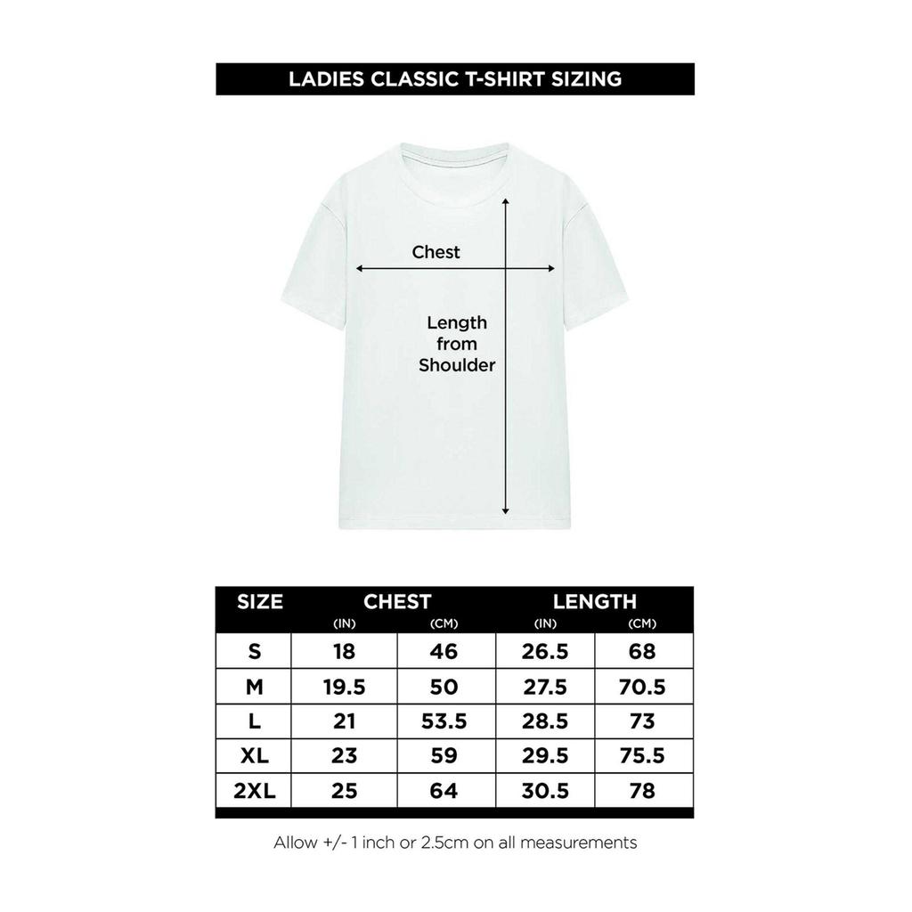 The Princess Bride Womens/Ladies Have Fun Storming The Castle T-Shirt