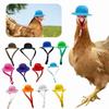 Hat for Hens Tiny Pets Chicken  Household Pets Head Decor Chicken Hen Top Hat for Rooster Duck Parrot Hamster Poultry