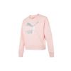 CLASSICS Sweatshirts Women's Pink Crew Neck Moderate Regular 535276-66