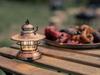 BAREBONES Mini Edison Lantern LED Copper [Official Japanese Distributor]