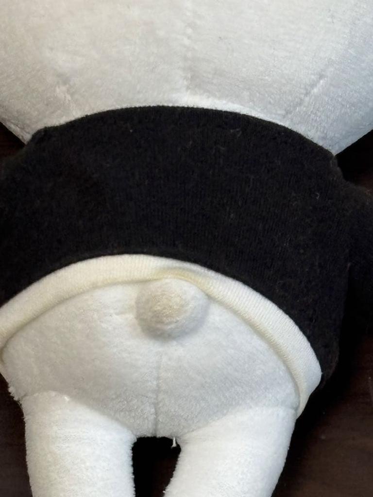 [GEBRAUCHT] Straykids Reno Plüschtier Ribbit