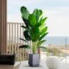 Real Touch Artificial Banana Plants Leaves Fern Plant Fake Palm Leaves Plants  Wedding Party Decor