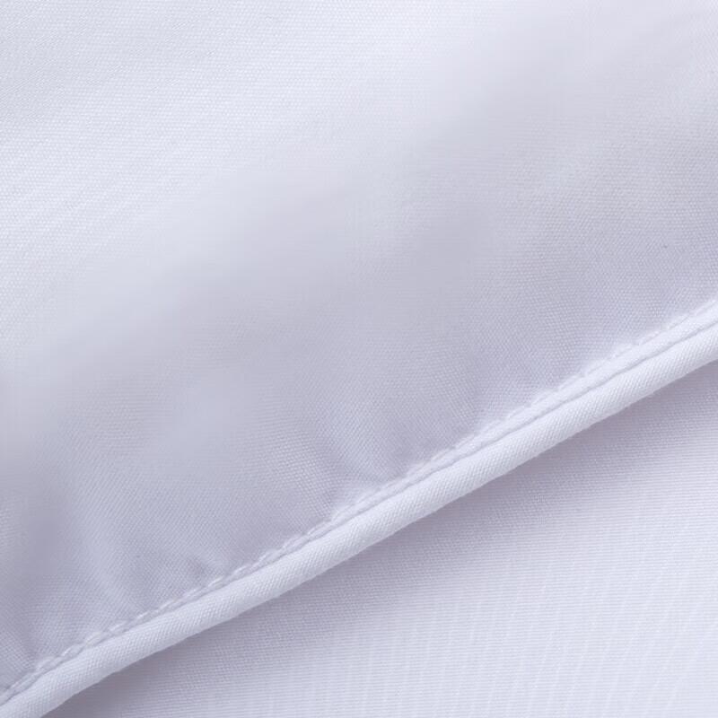 Mercury Home Textiles Antibacterial All-Season Fiber Quilt