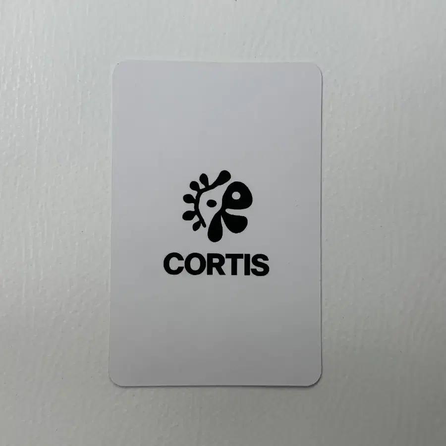 Cortis Kim Ju-hoon Japan photocard Chansey card Used