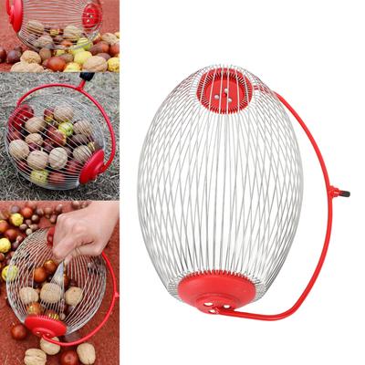 Nut Gatherer Stainless Steel Wire Nut Collector Picker Upper Roller Fruit Picker for Toy Ball Acorns Pecans