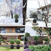 Pflanzenabdeckungen Für Winter-Isolierbeutel Mit Kordelzug Reißverschluss Blumentopfabdeckung Für Winter Für Blumen Sträucher Außenbereich Garten
