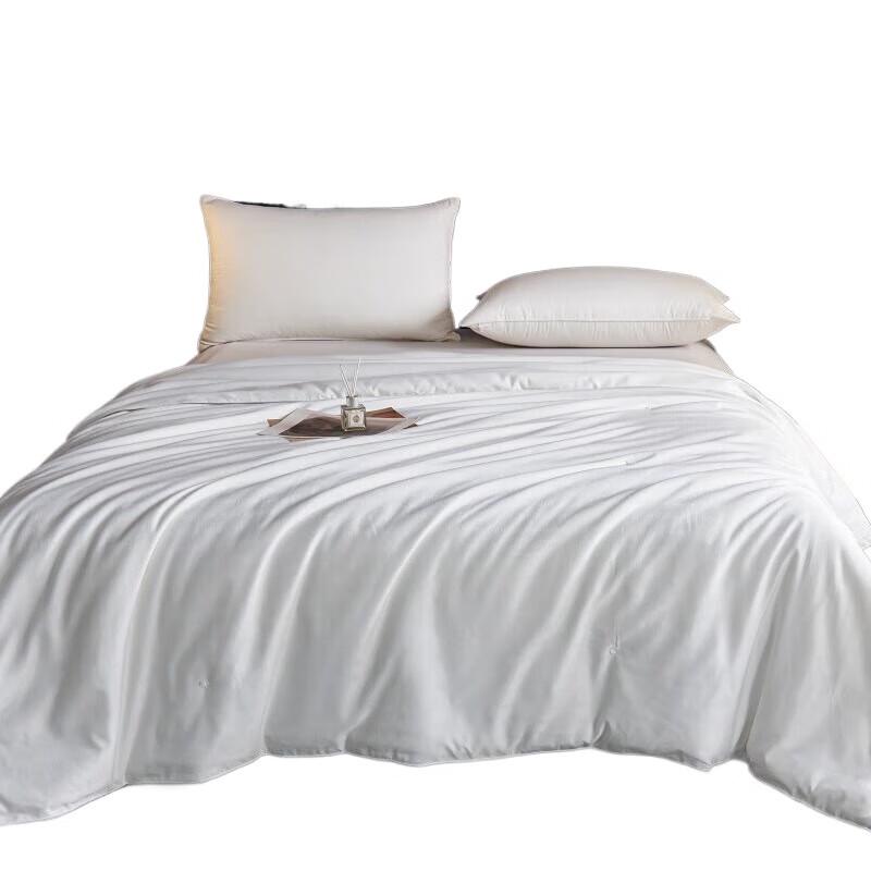 

HODO Chinese Style Tussah Silk Quilt