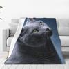 Graue Katze Bedruckte Flanelldecke - Weiches, Gemütliches Fleece, Haustier- & Wohnkultur, Moderner Stil, Ganzjahres, 100% Polyester, Gestrickt, Machi