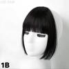 MISS WIG Synthetic Air Bangs Hair Styling Hair Clip Hair Extensions Long And Wide Sideburns Natural Wig Clip In Bangs