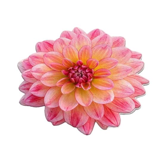 3D Flower Area Rug Absorbent Quick Dry Irregular Plush Floral Floor Mat Washable Non-slip Living Room Bedroom Bathroom Kitchen Decoration Carpet