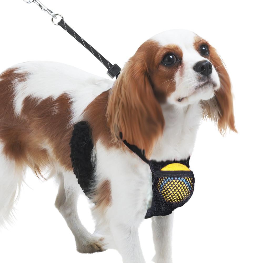 

Non-Pulling Dog Harness with Storage Pouch Adjustable Reflective Lightweight Mesh Easy Step In Comfort Flex System Dogs United States