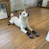 4pcs/set Anti-Slip Pet Socks Breathable Pet Foot Covers Traction Control Pet Paw Protector  Indoor