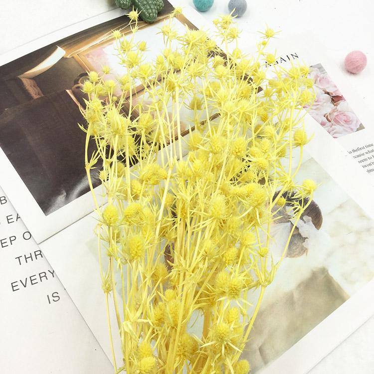 Preserved Eryngium Blue Planet Glass Dome DIY Wedding Flowers