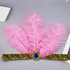 Feather Headbands Cosplay Handmade Hair Accessories for Women Masquerade Headpiece Mardi Gras Art Decors