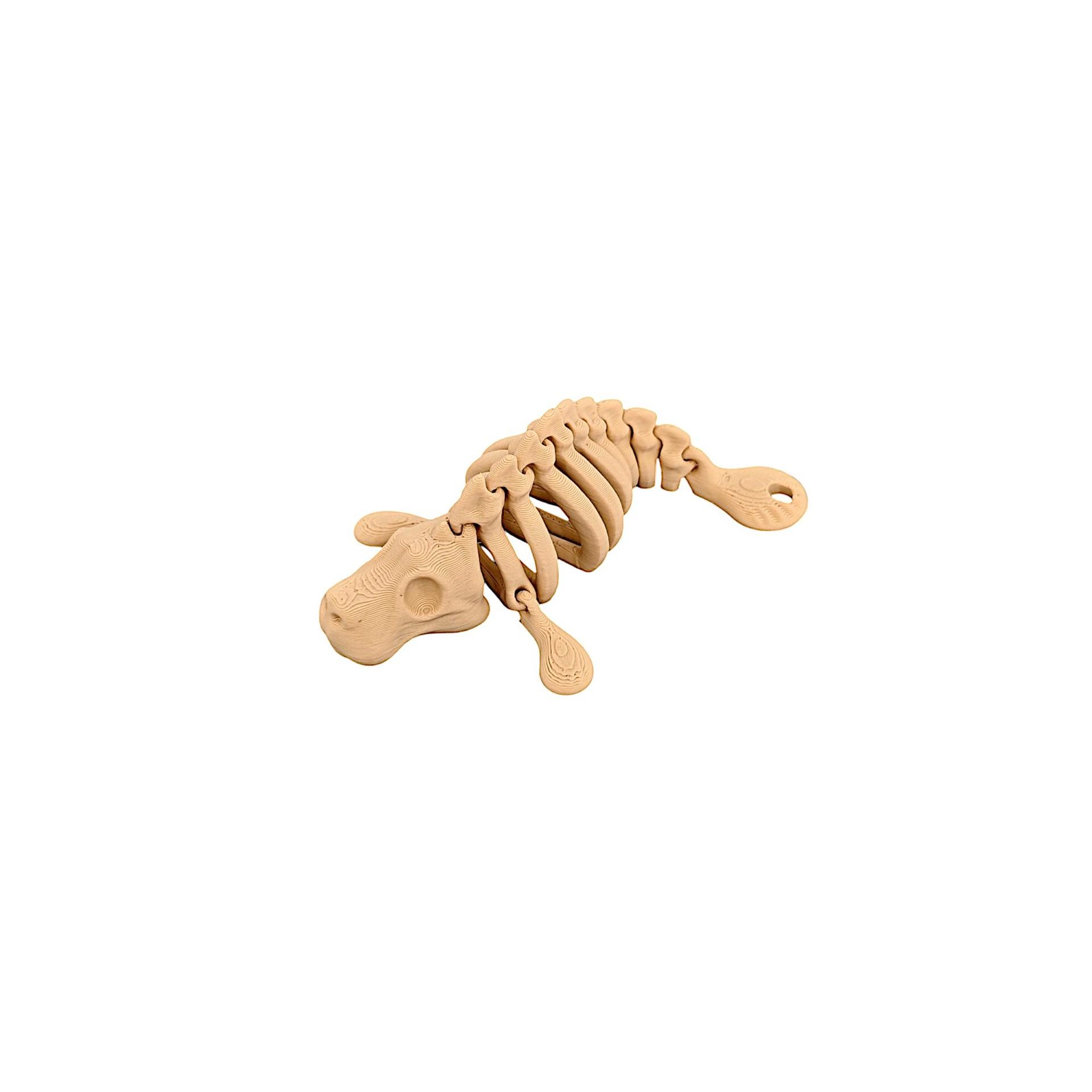 

NEW 3D Printed Model Animal Skeleton Figurine Creative Toy with Movable Joints Desk Accessories for Home Decor Fun Gifts