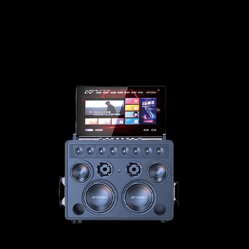 Sansui C3 Professional Home & Outdoor KTV Karaoke System