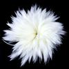 White Rooster Feather Natural Hot Sale Pheasant Plumes Wedding Party Clothing Decoration Accessory 800-1000 Pcs/Lot