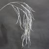 Asparagus Fern & Willow Buds Greenery for Wedding Decor & Landscaping