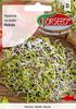 Adzuki Beans, Sprouting Seeds 250g - Torseed
