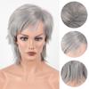 Parrucche Sintetiche Corte da Donna Parrucca Grigio Argento con Frangia per Donne Parrucca Liscia Festa Cosplay Parrucca Quotidiana Parrucche in Fibra Termoresistente