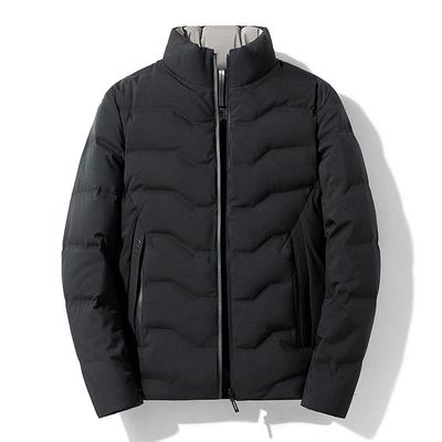2026 Men's Stand Collar White Duck Down Jacket - Winter Fashion, Thick, Warm, Casual, Versatile Outerwear