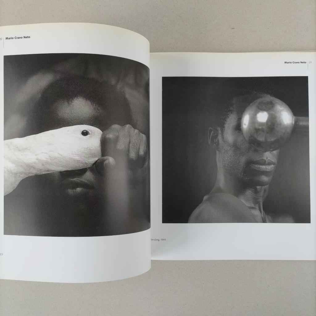[USED] The Bird of Self-Knowledge Contemporary Art Collection