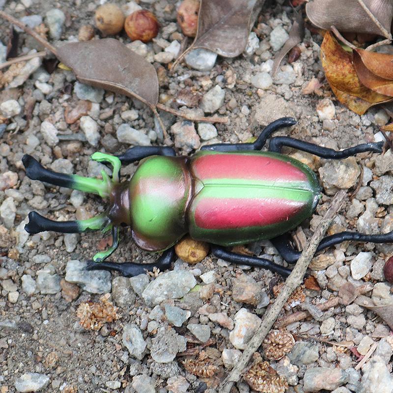 Oenux New Insect Animals Model Butterfly Bee Dragonfly Mantis Ant Snail Action Figures Jouet Collection Decor Kids Education Toy