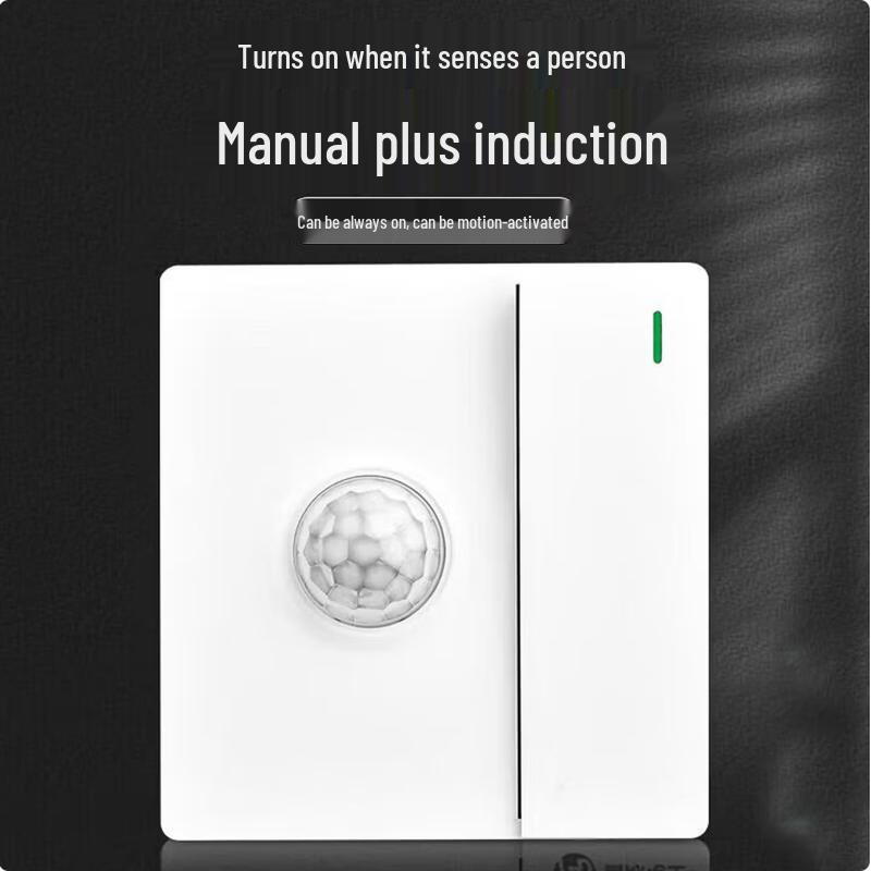 

IRIR 86-Type Infrared Motion Sensor Switch CN plug (adapter included)