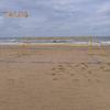 26.3' X 52.6' Beach Volleyball Lines for Sand 2.5inch Wide Boundary Lines with Sand Bag for Outdoor Sand Backyard Grass