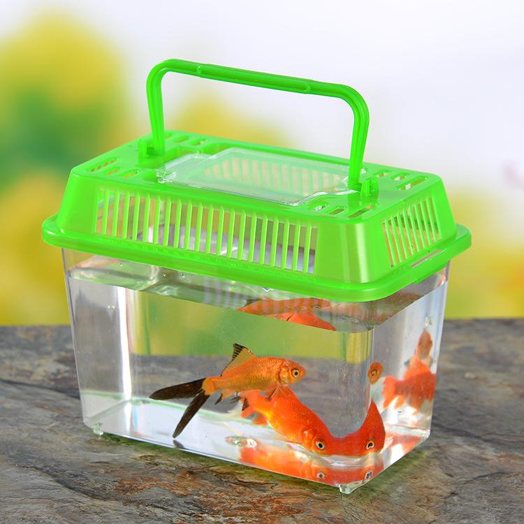 Clear Plastic Fish Tank with Sunning Platform - Available in Large, Medium, Small; Perfect for Goldfish or Turtles.