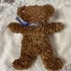 [USED] Steiff teddy bear