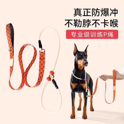 Dog Traction Rope Anti-explosion Rush P Rope P Chain Walking Dog Rope Dog Chain Small Medium and Large Dog Anti-winding Bolt Dog Training Dog Rope