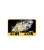 CCI Car Headlight Cleaner & Coating Agent Smart Shine Mini