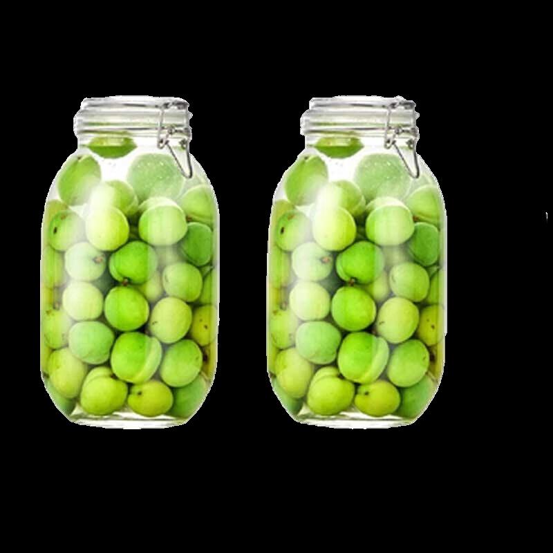 Homeglen Thickened Glass Sealed Jars with Lids