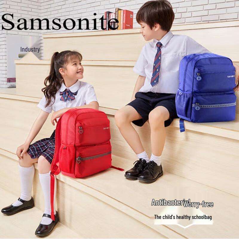 Samsonite Lightweight Foldable Commuter Backpack