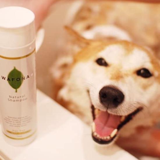 WAFONA Spray WAFONA Shampoing Naturel Set Tout-en-Un + (Fournitures pour chiens)