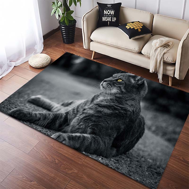 Cartoon Cats Fishing at Sunset Area Rug, Animal Illustration Non-Slip Floor Mat 40x60cm( 15x23in )