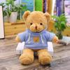Teddy Bear Doll Plush Toy Children's Pillow Rag Doll Night Market Gift Gifts Gifts Floor Stand