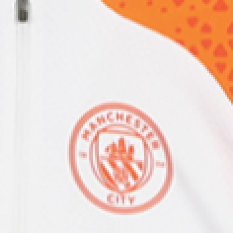 Puma Manchester City Training 1 4 Zip Top Man City