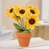 Decoration Potted Plant Fashionable Hand-woven Wool