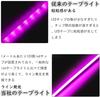 iNextStation High-Brightness Dimmable LED Strip Light, IP65 Waterproof, Ambient Lighting, Soft Light, Flexible, 5m, Cuttable, SMD2835, DC12V, 120 LEDs