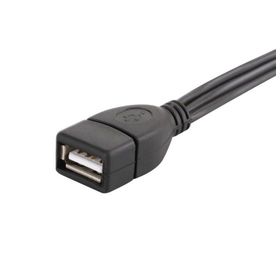 DOONJIEY USB 2.0 A Female To 3 RCA Male Audio Video AV Adapter Cable for PC TV
