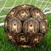 Temple Cat Round Football Size 5 Adult Ball Suitable for Training Matches and Outdoor Team.