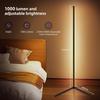 LED Floor Lamp,RGB Corner Floor Lamp with APP and Remote Control,16 Million DIY Colors&Ambient Lighting,Music Sync,Timer Setting,for Living Room,